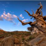 Bryce Canyon: 2-Hour, 4-Seat or 5-Seat ATV Rental - Why This Tour Is Worth Considering