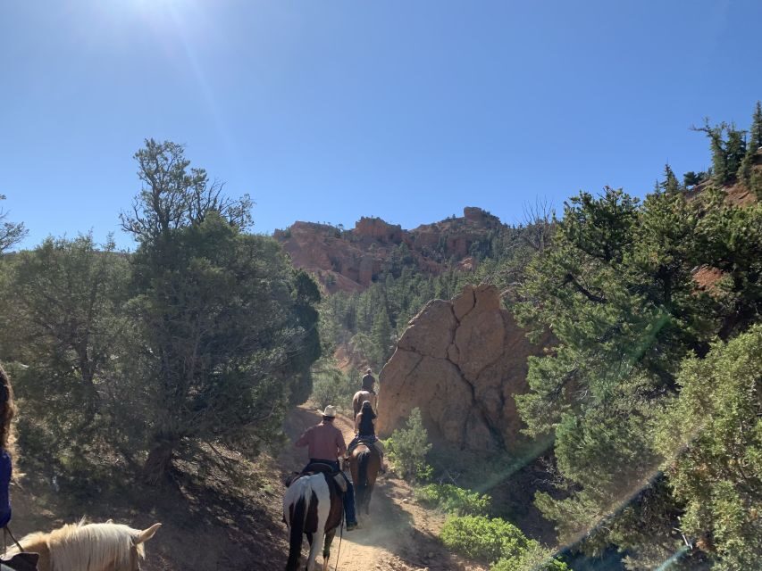 Bryce Canyon City: Horseback Riding Tour in Red Canyon - Practical Tips for Your Ride