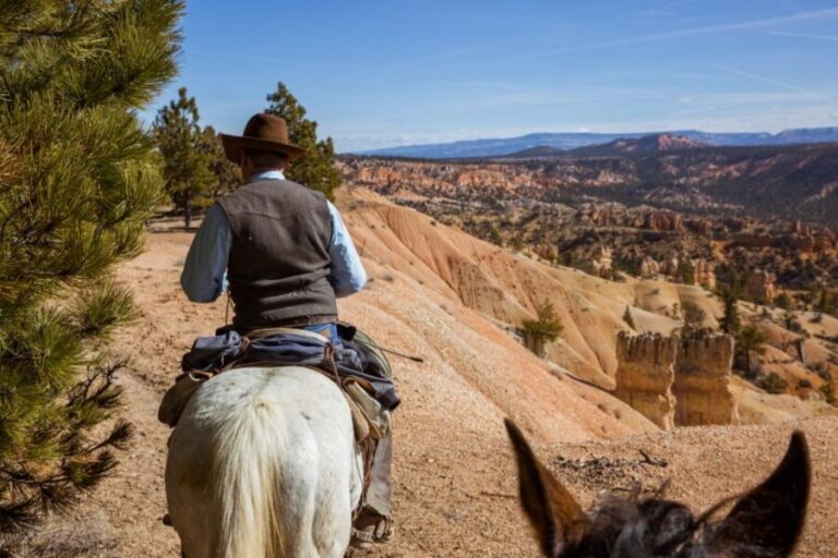 Bryce Canyon: Horseback Ride in the Dixie National Forest - Who Is This Tour Best For?