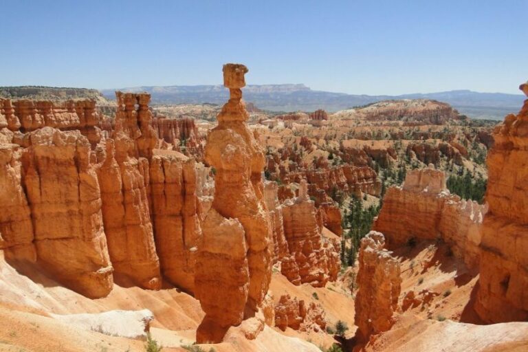 Bryce: Guided Sightseeing Tour of Bryce Canyon National Park - The Sum Up