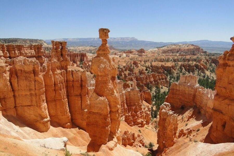 Bryce: Guided Sightseeing Tour of Bryce Canyon National Park - The Sum Up