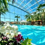 Bucharest: All Day Therme with Elysium Experience - Who Should Consider This Tour?