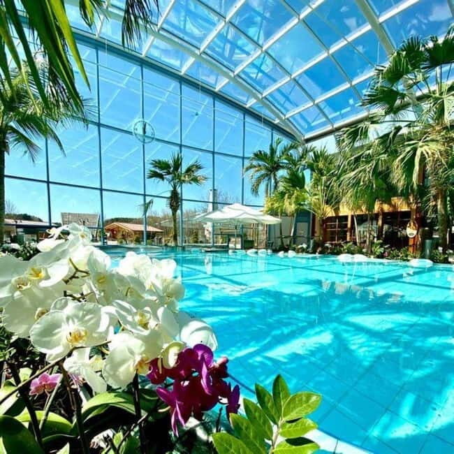 Bucharest: All Day Therme with Elysium Experience - Who Should Consider This Tour?