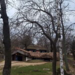 Bucharest: Arc de Triomphe & Village Museum Guided Tour - What Real Travelers Say