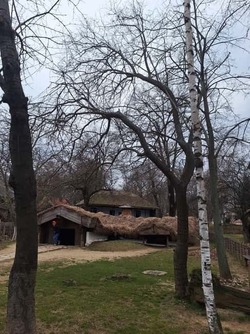 Bucharest: Arc de Triomphe & Village Museum Guided Tour - What Real Travelers Say