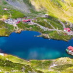 Bucharest: Bear Watching Tour and Top Gear Road Day Trip - An In-Depth Look at the Tour Experience