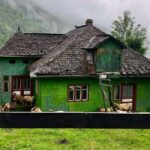 Bucharest: Brown Bears Sanctuary and Quad Tour - Good To Know