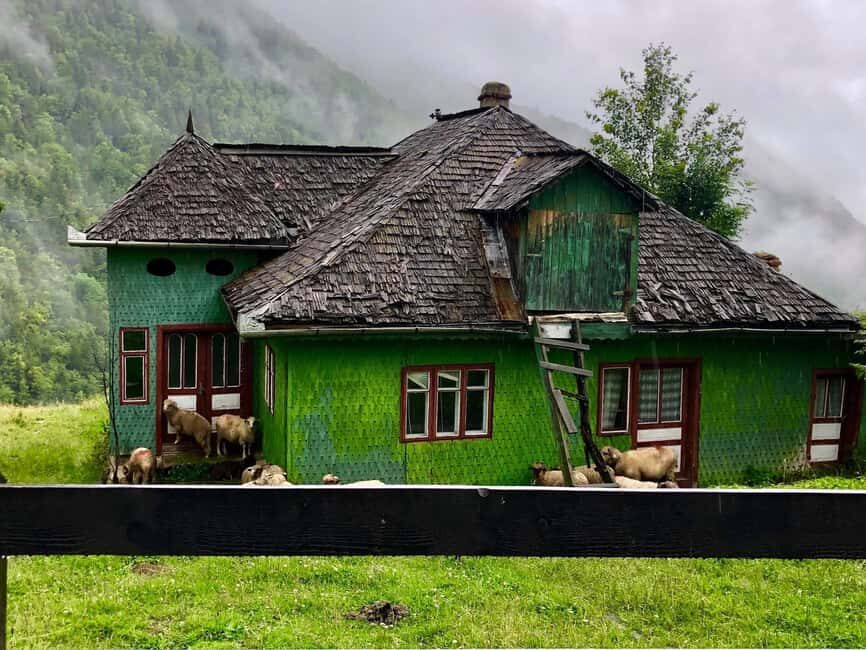 Bucharest: Brown Bears Sanctuary and Quad Tour - Good To Know