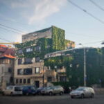 Bucharest: Craft Beer Tour with Traditional Meal - Why This Tour Offers Great Value