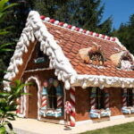 Bucharest: Magic Park & Bear Sanctuary Day Trip - What Makes This Tour Stand Out?