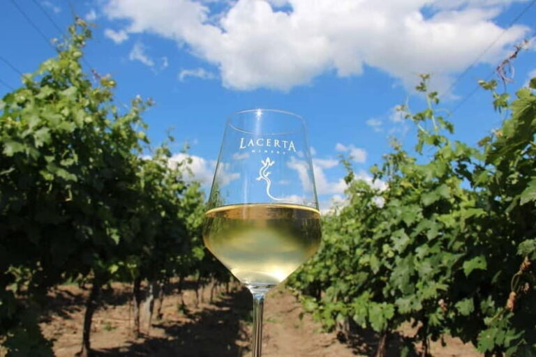 Bucharest: Taste the Magic of Wine in Romanias Tuscany - La Certa Winery: Modern Elegance Meets Quality