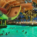 Bucharest: Therme Entry Ticket and Transfer - The Sum Up