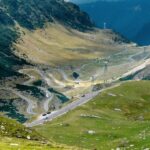 Bucharest: Top Gear Road and Wild Brown Bears Day Trip - Who Would Love This Tour?