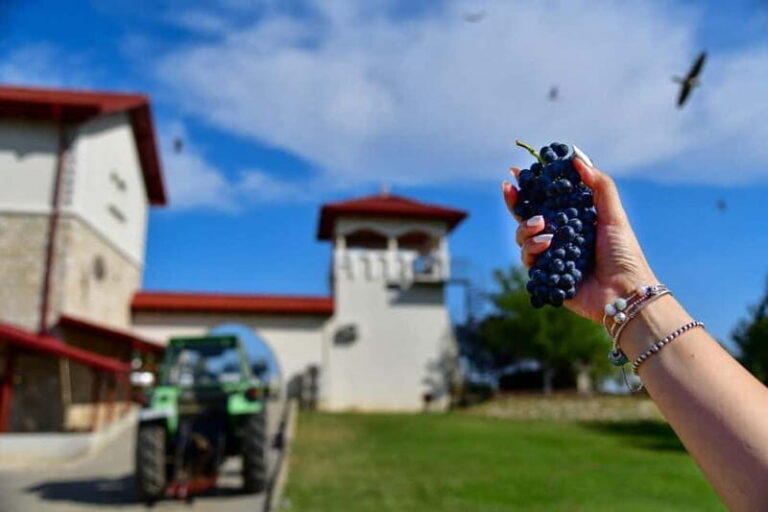 Bucharest: Tour The Wine Road, 2 Boutique Wineries in 1 Day - Why This Tour Offers Great Value