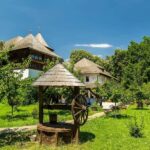 Bucharest: Village Museum, Ceauescu Mansion & Parliament - Transport, Timing, and Practicalities