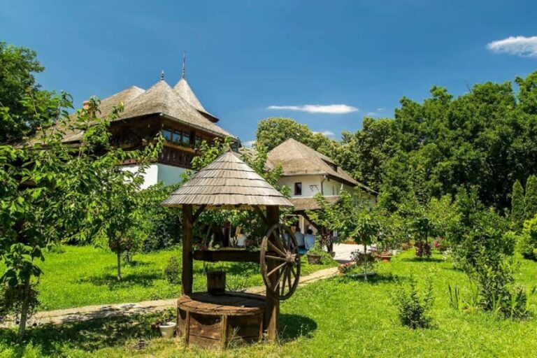 Bucharest: Village Museum, Ceauescu Mansion & Parliament - Transport, Timing, and Practicalities  