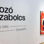 Budapest: Szabolcs Bozó Exhibition Soulmate  Guided Tour - Exploring the Szabolcs Bozó Exhibition
