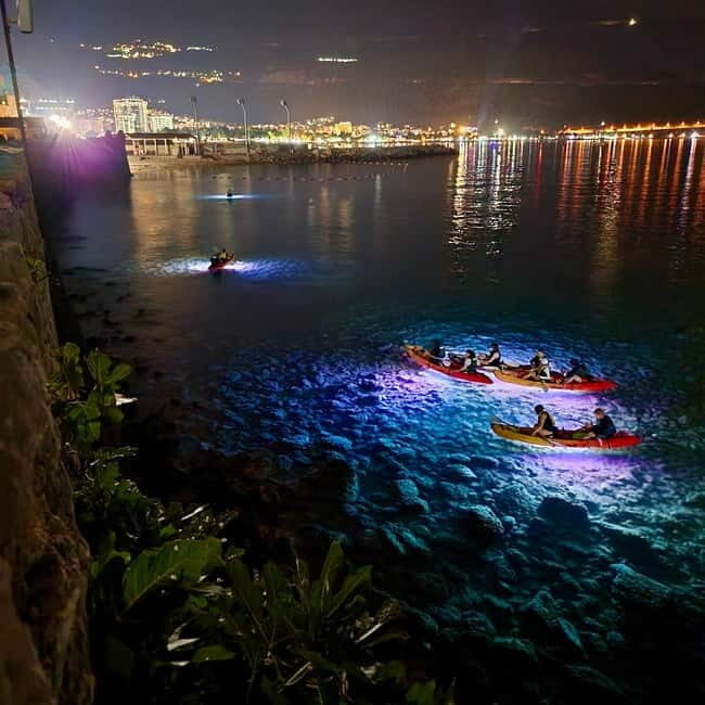 Budva: 2-Hour «Night Lights» Kayak Tour - Why This Tour Offers Great Value  