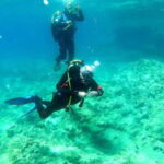 Budva Diving - Scuba Diving Experience - What To Expect from Your Scuba Experience in Budva