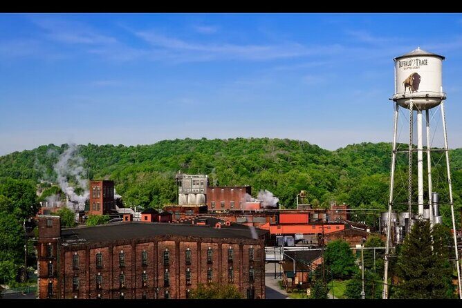 Buffalo y/ or Wiskey Thief & Churchill Twilight Racing Experience - Practical Insights and Value