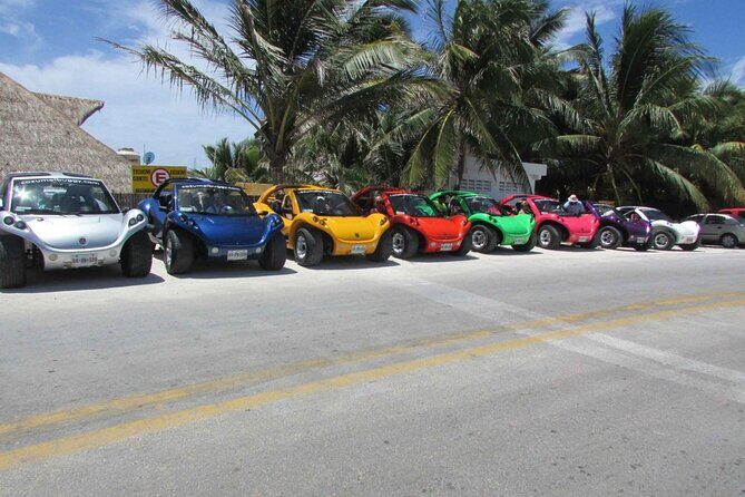 Buggy Adventure in Cozumel + Transportation from Cancún - What Travelers Are Saying