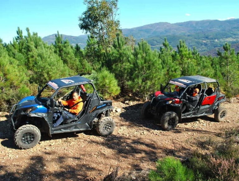 Buggy Family Experience - 60 to 120 minutes - An Introduction to the Buggy Experience in Arouca