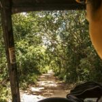 Buggy Ride through Playa del Carmen Tour - Practical Considerations