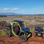 Buggy tour through the vineyards of Pico Island - Practical Details