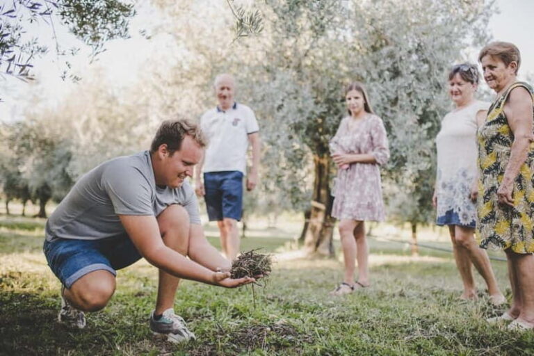 Buje: Istrian Family Farm with Walking Tour, Food, and Wine - Olive Oil Tasting and Production Insights