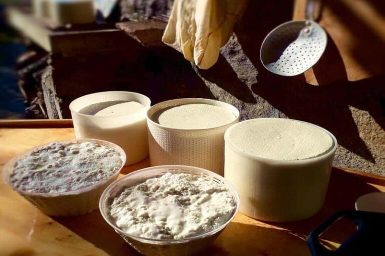 Burgos: Sardinian Pecorino Cheese Workshop - Who Would Love This Experience?