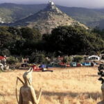 Burgos: visit to a farm with tasting - An In-Depth Look at the Burgos Farm Tour