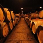 Burgundy Wines Full-Day Tasting Tour from Dijon - Practical Tips for Potential Travelers