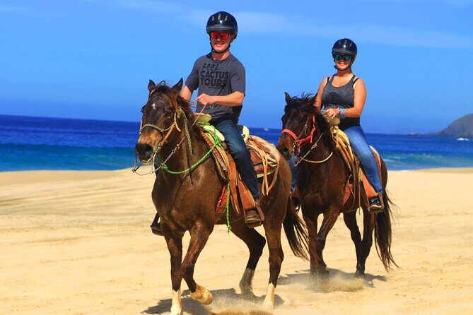 Cabo ATV and Horseback Riding Combo Experience in Migriño - Authentic Insights from Travelers  