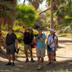 Cabo birding | Bird watching at bird sanctuary - Practical Details: What You Need to Know