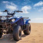 Cabo Camel Ride: Beach Safari, Tequila Tasting & Buffet - Who Is This Tour Best For?