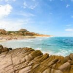 Cabo Pulmo Snorkel Adventure - The Experience from Reviews