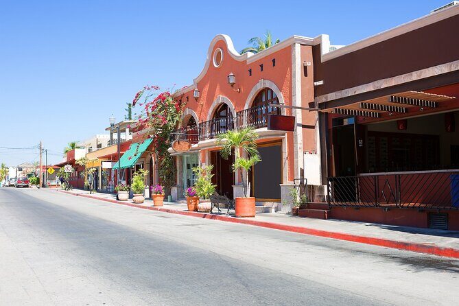 Cabo San Lucas Arch Cruise and Shopping Tour - Final Thoughts: Is This Tour Worth It?