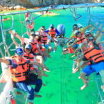 Cabo San Lucas: Arch Tour Clear Boat - The Experience: What You Can Expect