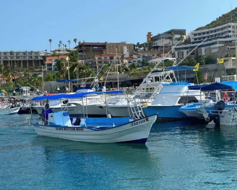 Cabo San Lucas: Arch Tour Glass Bottom Boat - Good To Know
