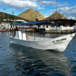 Cabo San Lucas: boat tour around the peninsula and stay at the beach - What To Expect During the Tour