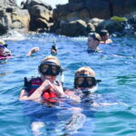 Cabo San Lucas: Guided Snorkeling Tour with Transportation - Analyzing the Cost and Overall Value