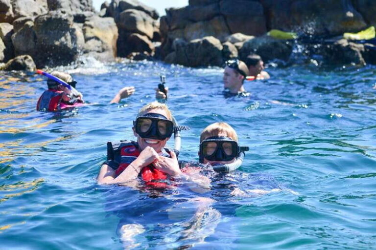 Cabo San Lucas: Guided Snorkeling Tour with Transportation - Analyzing the Cost and Overall Value