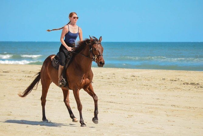 Cabo San Lucas Horseback Ride on Beach and Desert - A Closer Look at the Itinerary