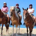 Cabo San Lucas: Horseback Riding Corredor Turistico - What to Expect from the Tour