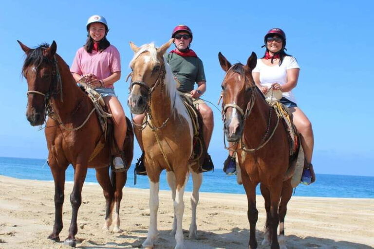 Cabo San Lucas: Horseback Riding Corredor Turistico - What to Expect from the Tour