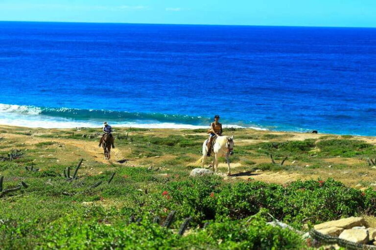 Cabo San Lucas: Horseback Riding in Migriño with Transfers - Exploring the Details of the Horseback Riding Tour