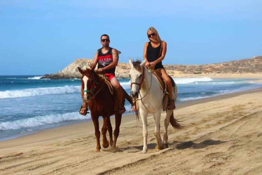 Cabo San Lucas: Horseback Riding on the Beach Experience - The Experience: Details and Authenticity