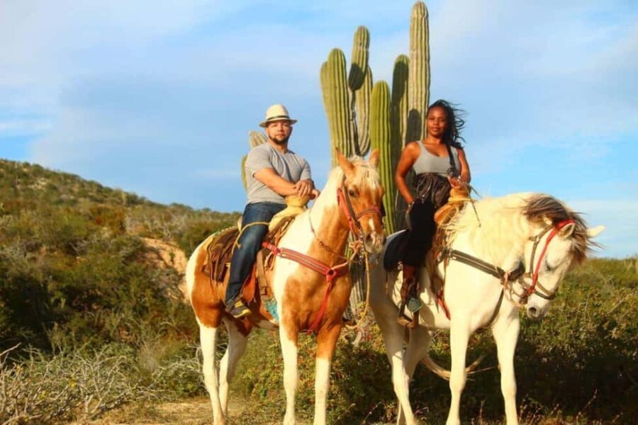 Cabo San Lucas: Migriño Horseback Riding Adventure - Practical Details: What You Need to Know