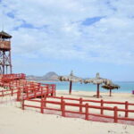 Cabo San Lucas: Private Jeep Tour to Cabo Pulmo & Snorkeling - The Day in Detail: A Closer Look at the Tour Experience