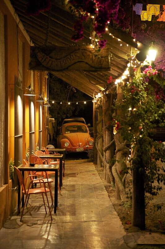 Cabo San Lucas: Private Jeep Tour to Todos Santos - Authentic Experiences and Real Insights from Reviews